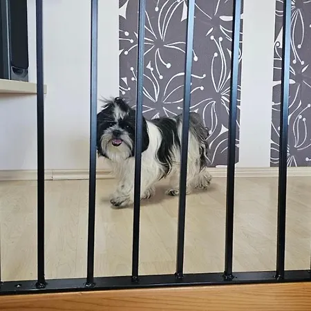 Zoi 度假居 普图伊